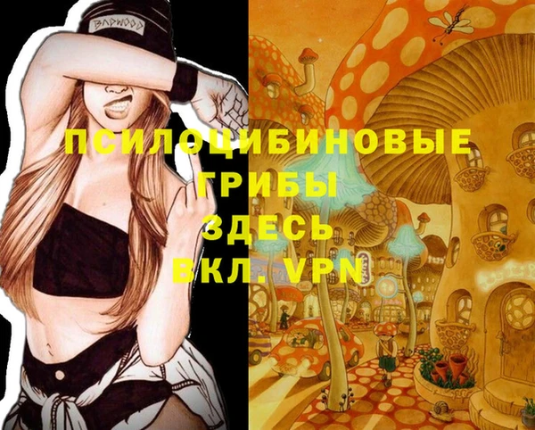 apvp Горнозаводск