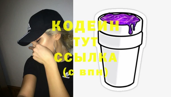 дживик Майский