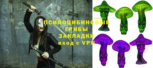 apvp Горнозаводск