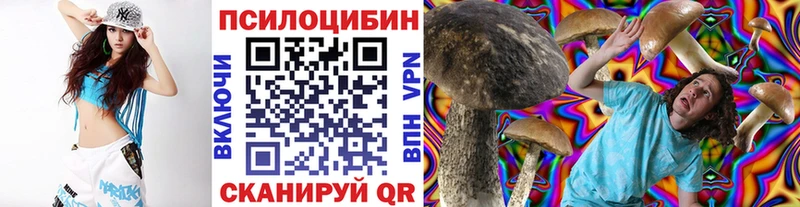 купить  цена  Дальнереченск  Галлюциногенные грибы мухоморы 