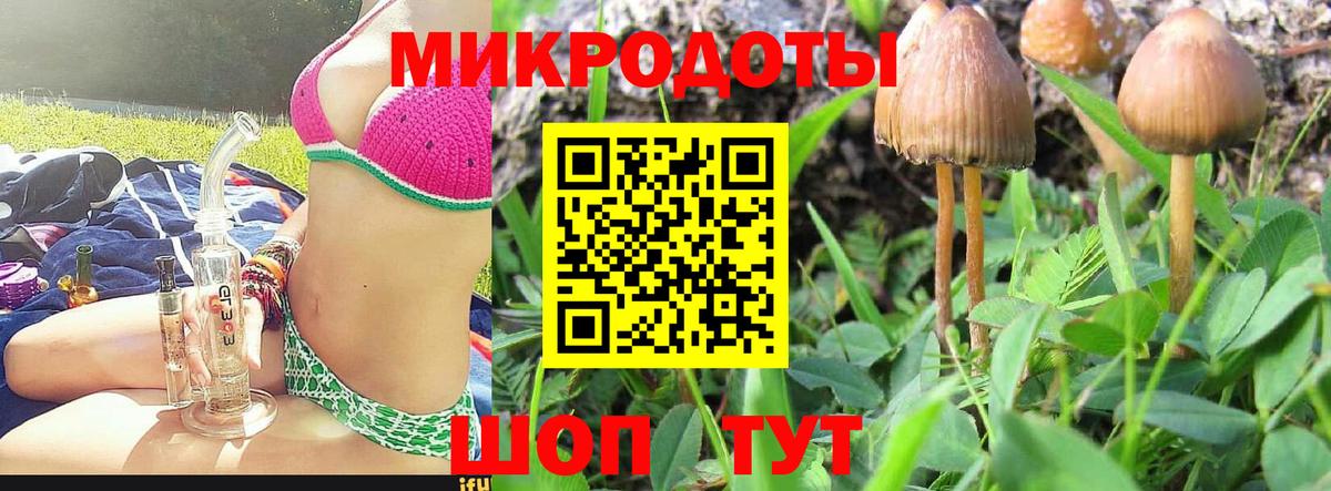 Галлюциногенные грибы мухоморы Дальнереченск